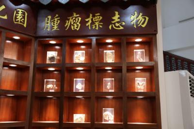 脑瘤的中医病因：先天不足与后天失养