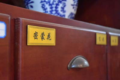 中医辨证论治视角解读肝癌